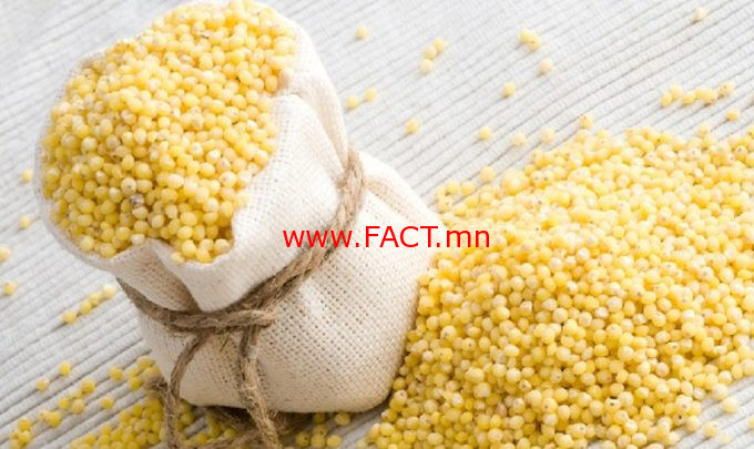 img_3f64d06263018ffa3dbafdddb537f97f_large-680x405