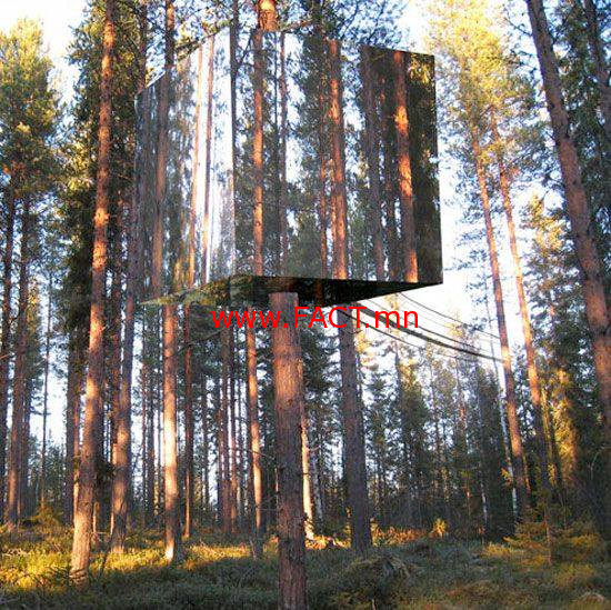 12038534_874633835955591_1062724351625202144_n