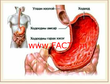 15235974975ad040b91e4ab