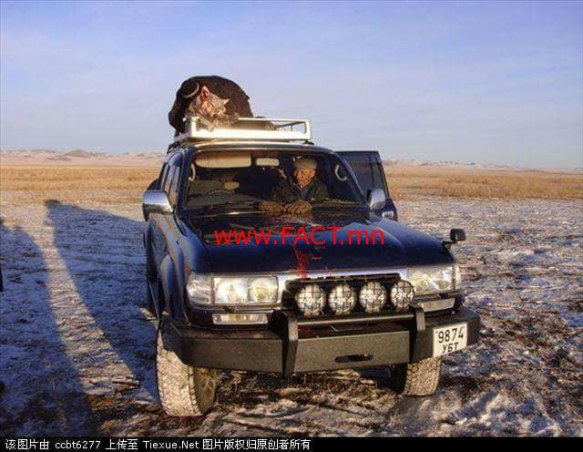 30123886_201321603811045_2756359403249598464_n