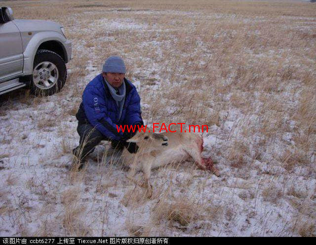 30222323_201321373811068_4971919167654461440_n