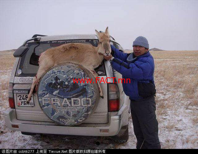 30265152_201321340477738_7641623388049375232_n