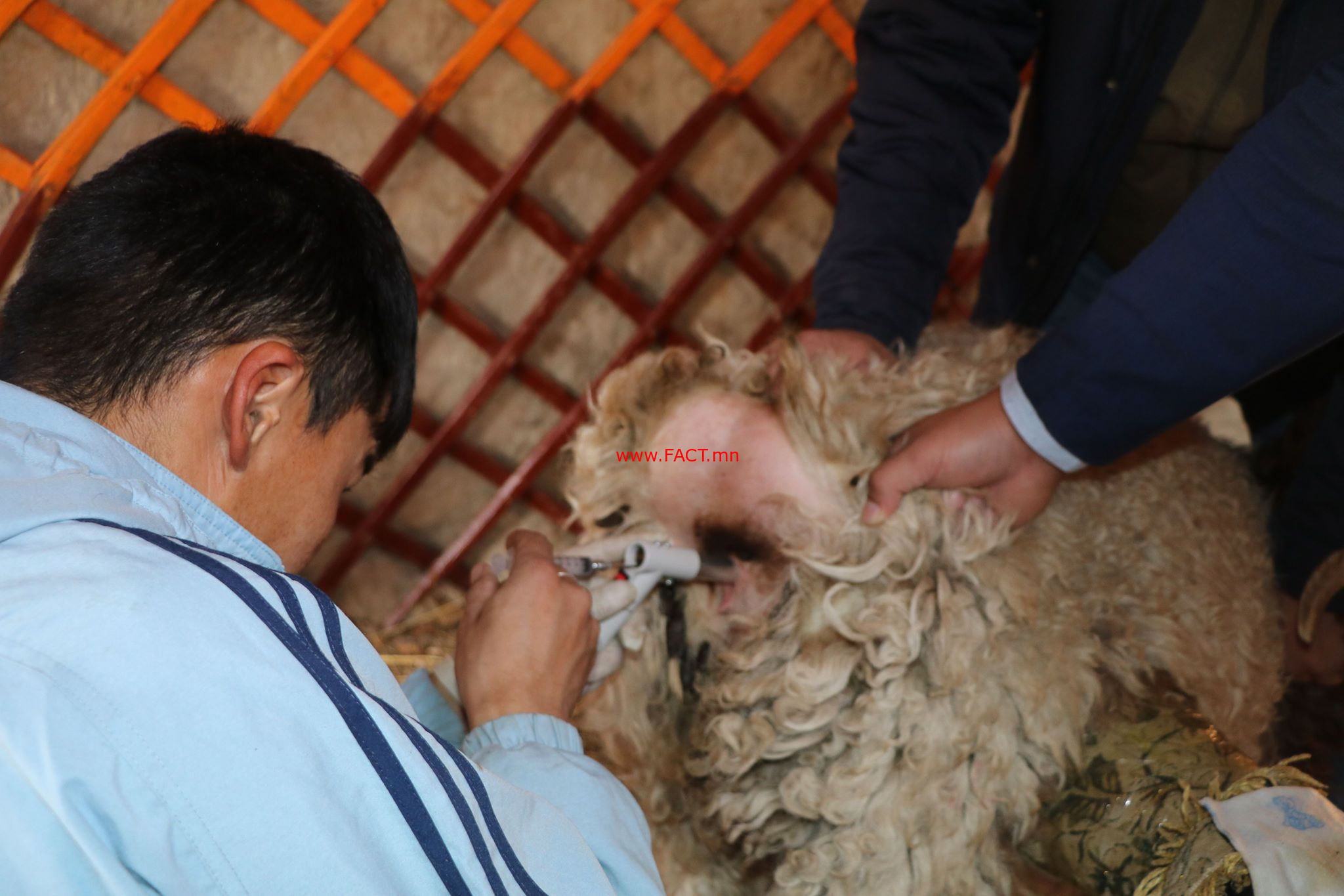 45855865_264298427764172_4362276455799848960_n