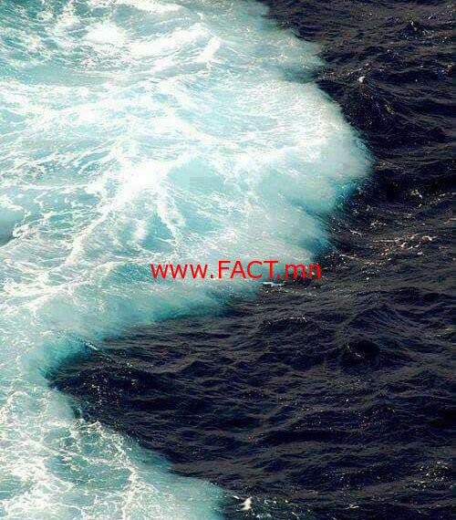 46329052_493906594463967_212109554073206784_n-500x570