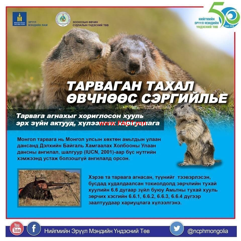 e127eb_1_21245285_508987049451238_1075361513_n_x974