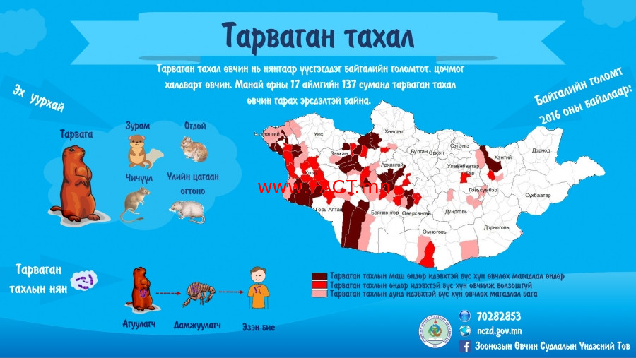 olloo_mn_1533614444_52a03a7a3a46554c578bae86d28b5c6f4552f39a