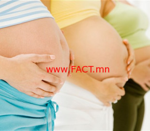 pregnancy-gestatio_2637113b
