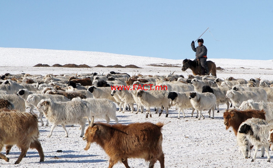 olloo_mn_1543993195_uvul