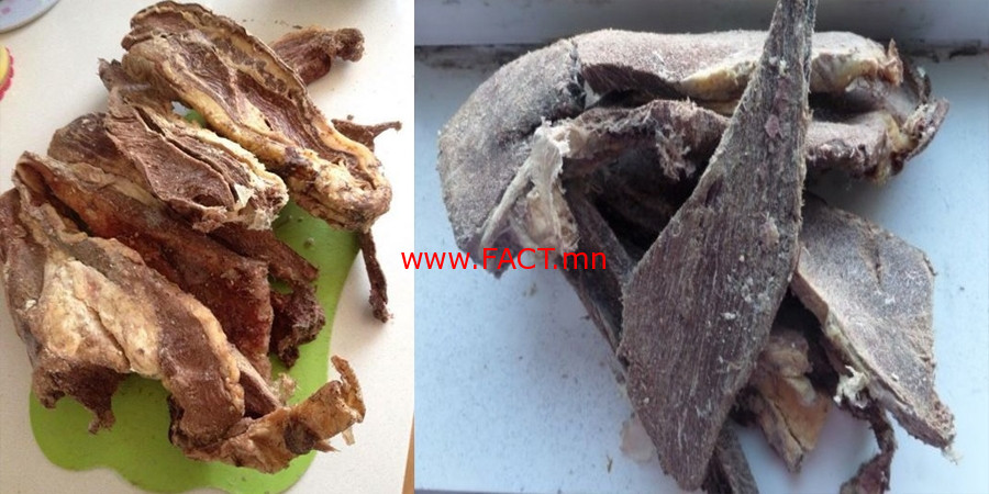 olloo_mn_1561776117_borts