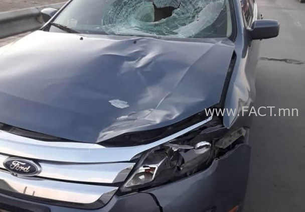 15952968825f164c7253519