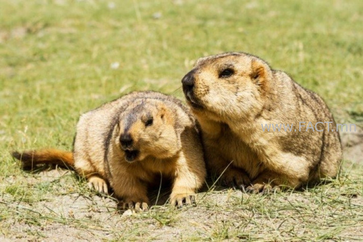 2F65D92B-8B84-4B19-82B1-36BCE446B31A