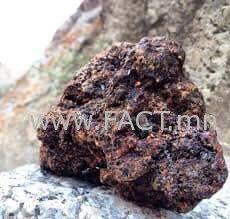 117742916_1003228113435169_1754768104683743407_n