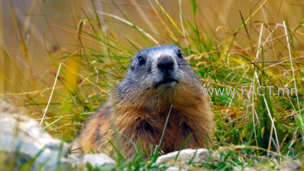 15970234225f30a4be02e45