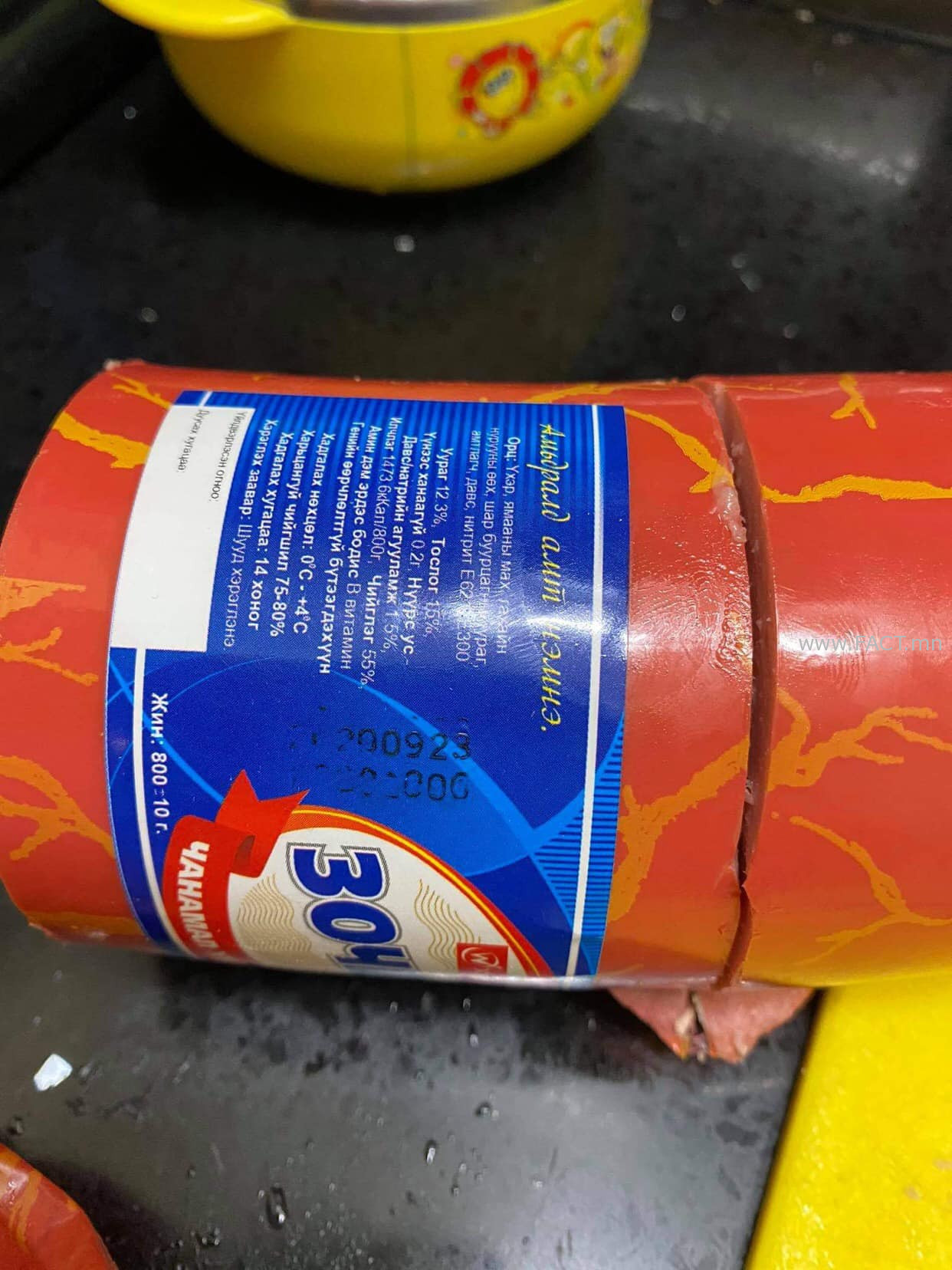 120445840_362871705069137_4729226538532407895_o