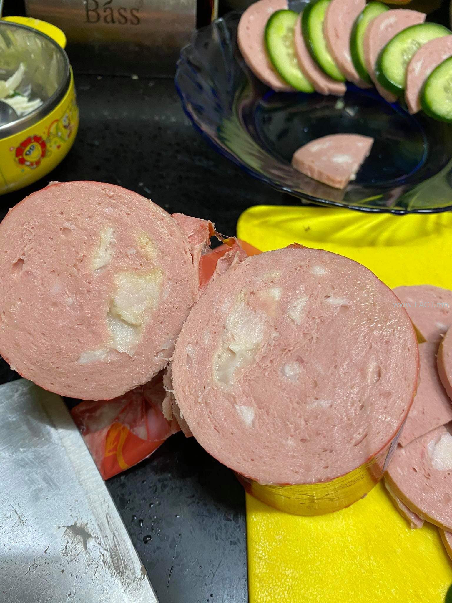 120569208_362871788402462_7183321902905350227_o