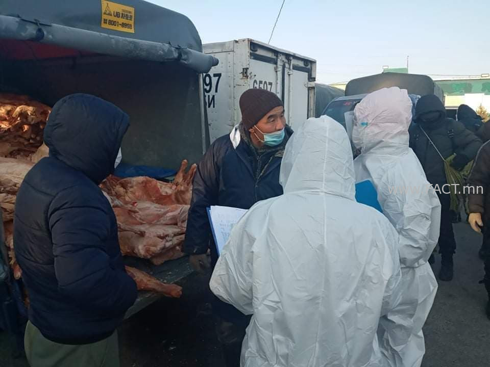 126319659_377191116671262_4152196569715057467_n