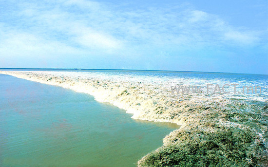 002564baec481132a5d802