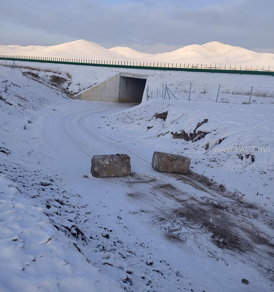 136635521_1926265547514192_8045564063759955012_n