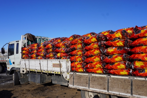 16097335945ff295da75c5f