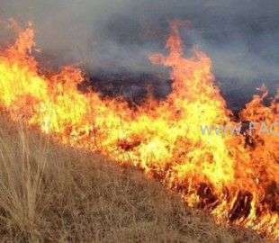 Он гарснаас хойш ой болон хээрийн нийт 283 мянган га талбай түймэрт өртжээ