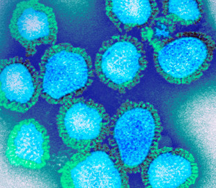 O-que-voce-precisa-saber-sobre-o-surto-de-gripe-H3N2-facebook