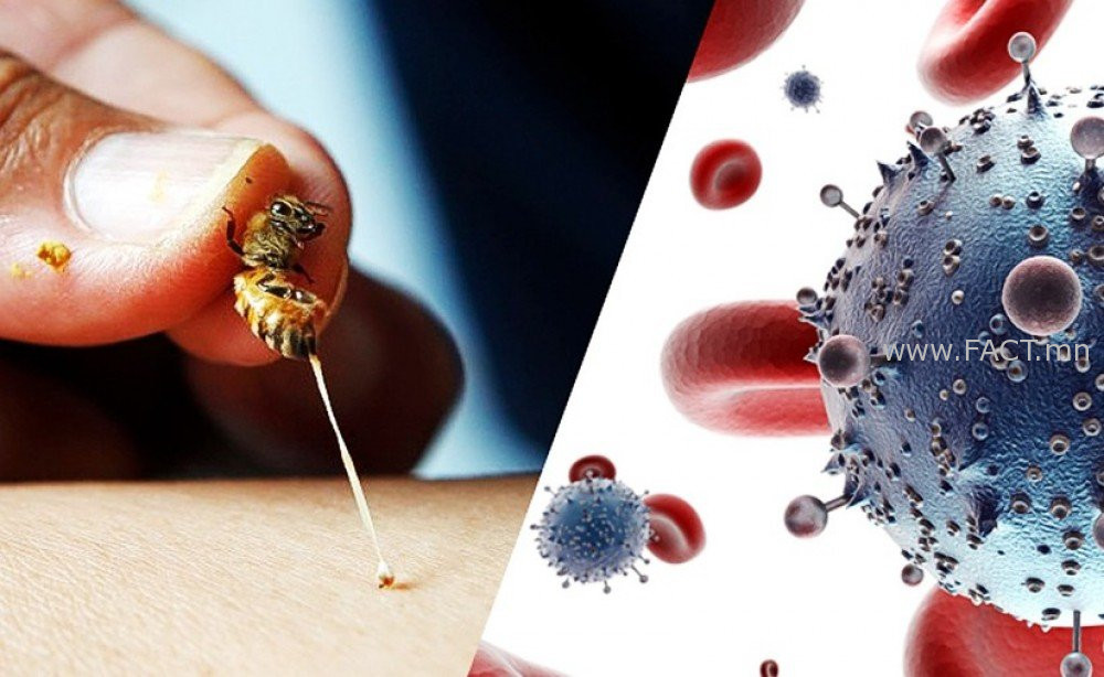 11“Зөгийн эмчилгээг бусад аргуудтай хавсарвал илүү үр дүнтэй”