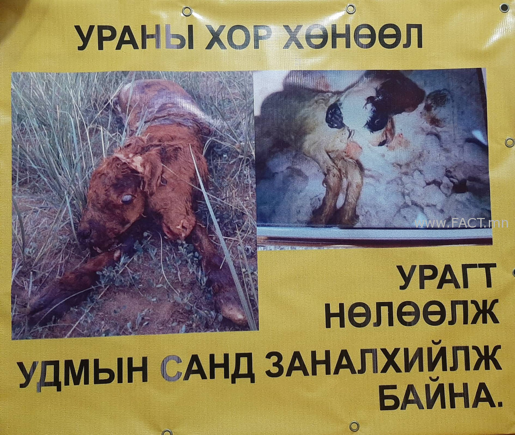 291783205_3191011024499573_4705204296941555871_n