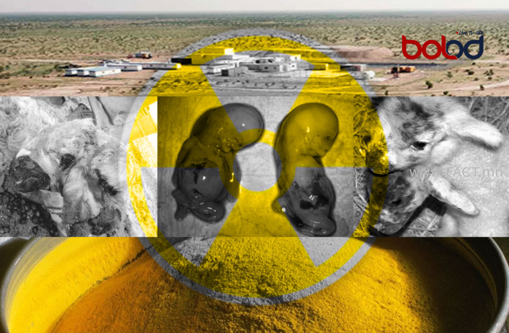 293712294_1124680991592338_4924308642158650388_n