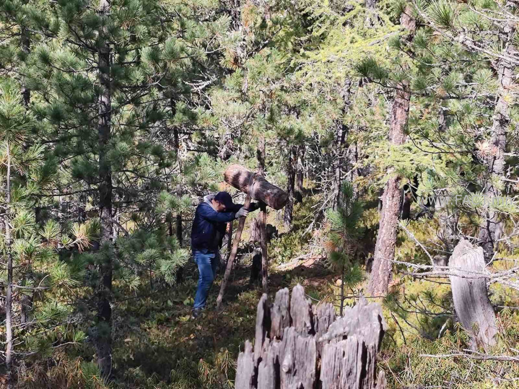 631a92238c81e851e4148966-1