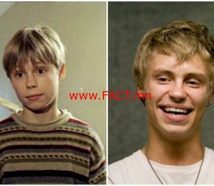 16900860-R3L8T8D-650-collage12-640x422