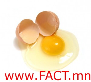 551407_563235720375283_972873253_n