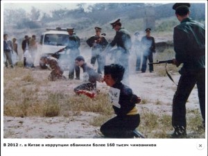 577190_364159753697827_810004355_n