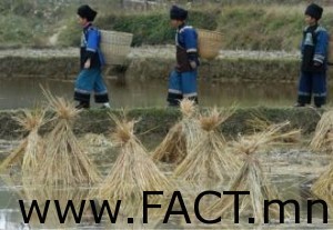 big_e53c2c9f4d6761de9122d72eac64a0cc_xl