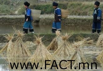 big_e53c2c9f4d6761de9122d72eac64a0cc_xl