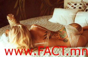 3596_525032907560926_571095759_n