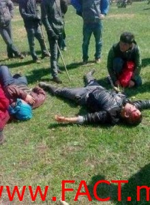 972128_4121730859943_1649781986_n