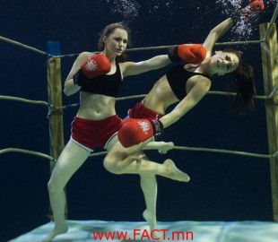 126-funny-pictures-474