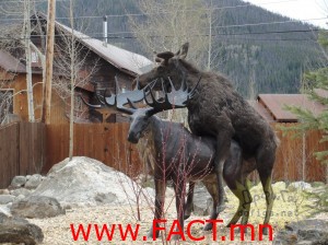 5e3ff91d6ae7c3b2original