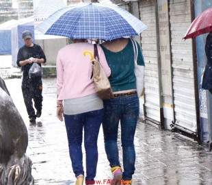 бороо нийт нутагаар