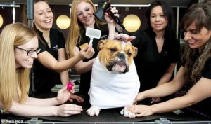 1069989_607742312591452_2138750380_n