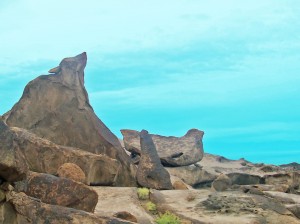 2861466788_96f09561f2_o