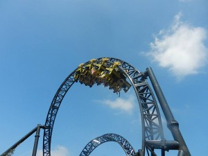 566807d9d289536boriginal