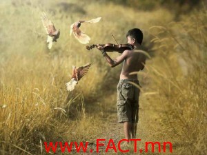 1003910_537056946361391_110236794_n