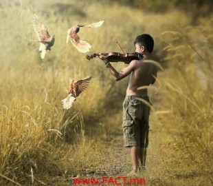 1003910_537056946361391_110236794_n