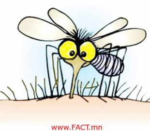 1044203_640449239299945_1475946756_n