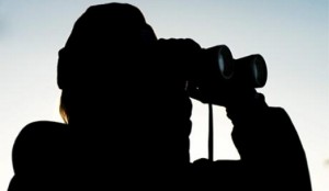 527-13542599354highres_00000400405352