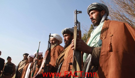 Militants surrender their weapons in Herat