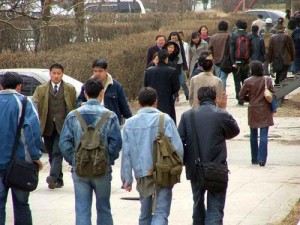 БНСУ-д-ажиллах-иргэд