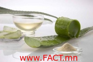 100_b9df4f2946738dee2c19083f7f195f11