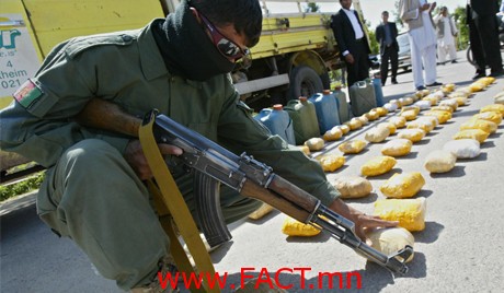 Афганистанд оросын чиглэлд 2 мянга орчим хар тамхины бүлгэмүүд үйл ажиллагаа явуулж байна